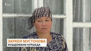 ХУШТОМАН КЕЛИНРО УКСУС ДОДА КУШТАЙ?ДАҲШАТ ДАР Ш.ТУРСУНЗОДА??