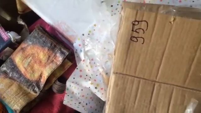 Голубика.Посылка с саженцами Чандлер