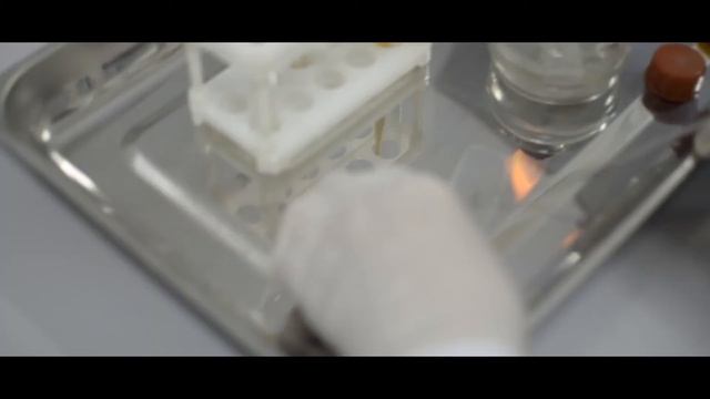 Бактериологическая лаборатория