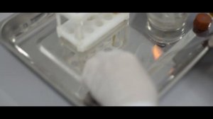 Бактериологическая лаборатория