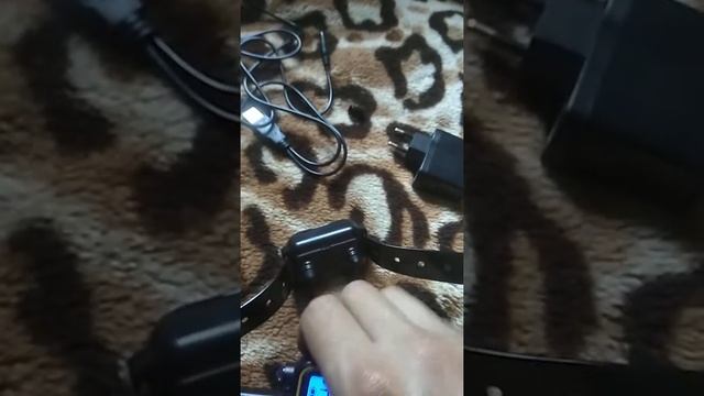 Электрические ошейник!!!! смотреть онлайн