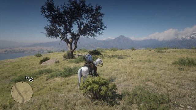 If You Find This Prospector In Red Dead Redemption 2 You'll Get FREE Gold & Much MORE! (RDR2) смотреть онлайн