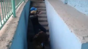 зын зын зын ОК Илим-Ош