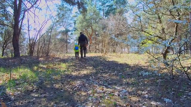 Выходной день, Лес, Костер, однодневный поход с сыном