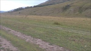 ПОЕЗДКА К УСТЬЮ АККЕМА И К УСТЬЮ КУЧЕРЛЫ УСТЬ КОКСА ТЮНГУР начало тропы Тюнгур Иня