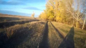 КУПИЛ ПИТБАЙК за 60 ТЫСЯЧ. Покатушка