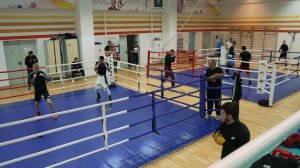 Геннадий Ковалёв: «Видно, что парни хотят выйти в ринг и показать себя»