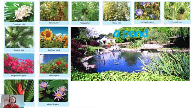 ESL Science - Plants 2 смотреть онлайн