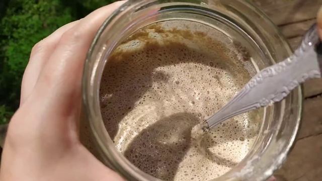 РЖАНАЯ ЗАКВАСКА за три дня! Без дрожжей и сахара!