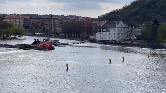 Карлов мост и магнолии в Праге. Прага на карантине. Онлайн прогулка. смотреть онлайн