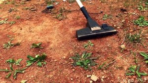 Numatic James Vacuum Cleaner Destruction