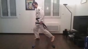 Judo à la Maison - Séance du 01 04 2021