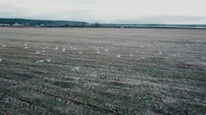 РАСПАХНУ СВОЕ СЕРДЦЕ НАСТЕЖЬ