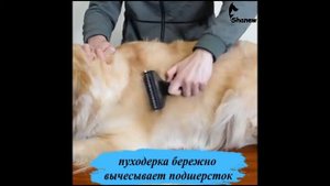 Колтунорез пуходерка 2в1