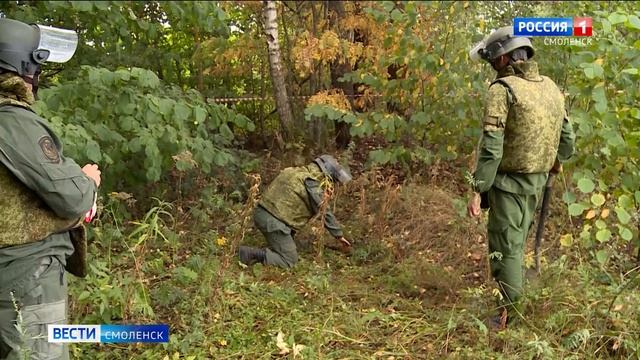 В смоленской деревне обезвредили взрывоопасные предметы