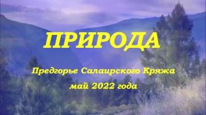 Природа - Предгорье Салаирского Кряжа (май 2022).mp4