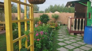 Видео привет с 6 соток 14 июля 2024 года. 5 часов утра.