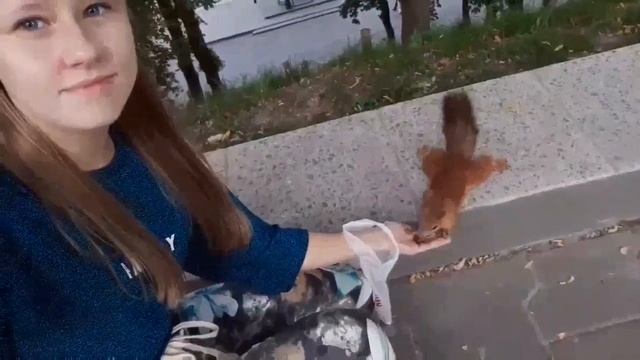 БЕЛКИ!!! | КОРМИМ БЕЛОК В ПАРКЕ | САМЫЕ РУЧНЫЕ БЕЛКИ В МИРЕ | РАЗБОРКИ БЕЛОК | KEKC CHANNEL смотреть онлайн