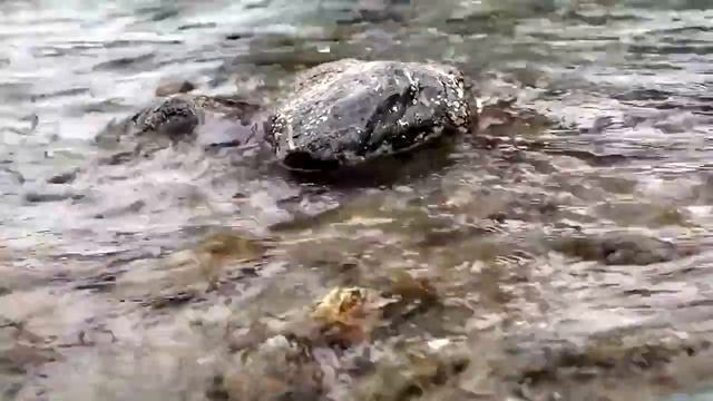 Сакральная мудрость Демокрита сквозь века