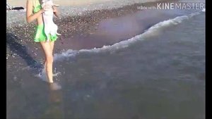 Чихуахуа плавает в море