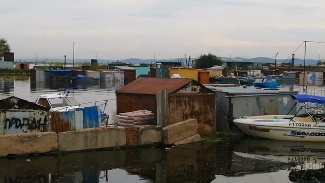 Амур у Комсомольска на Амуре растёт