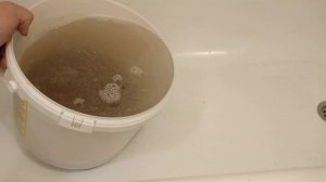 Трубочник. Промывка и хранение.