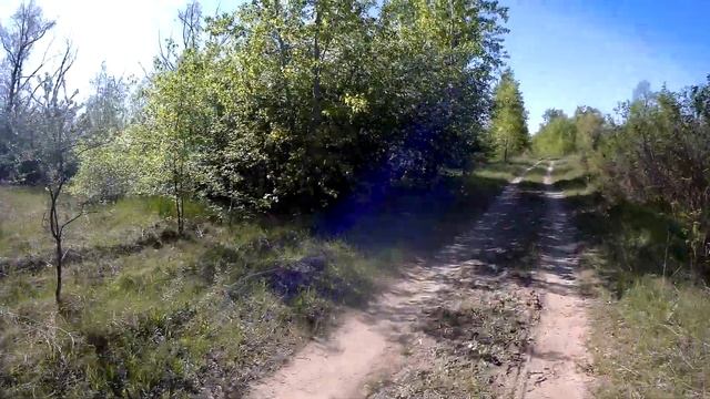 Конструирование электро- велосипедов в Омске смотреть онлайн