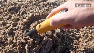 Коп на пляже в Крыму, с металлоискателем ванквиш 540 про