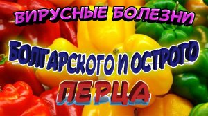 Опасные заболевания перца. Лечение перцев. Источник заражения. Профилактика болезней перца. Коротко!