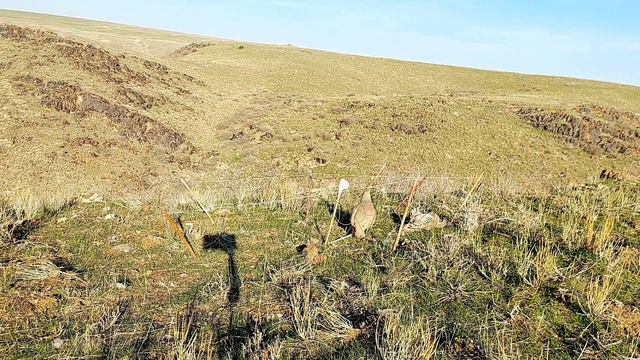 3 ноября 2023 г. смотреть онлайн