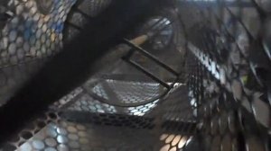 Оборудование для переработки грецкого ореха. Калибратор-сортировщик грецкого ореха