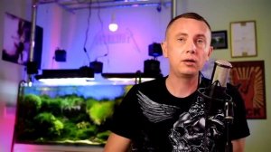 Органика в аквариуме, как избавиться?