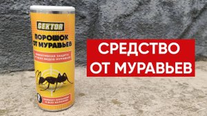Средство от муравьев / Как избавиться от муравьев