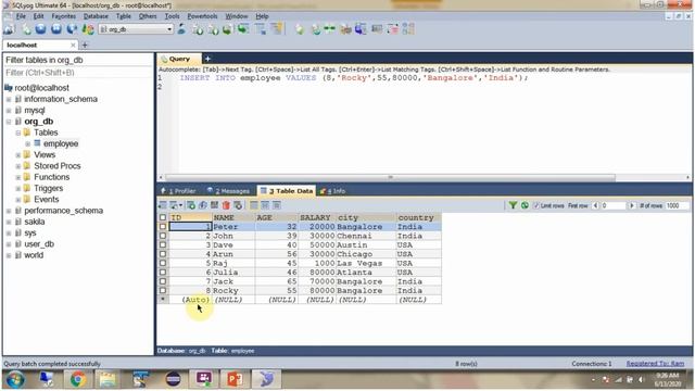 How to use INSERT INTO Statement? | SQL Tutorial For Beginners | Learn SQL