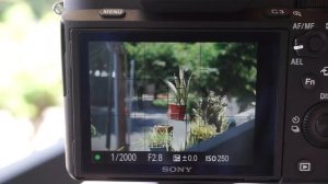 SONY A7II / ILCE-7M2 Firmware Update and Auto Focus Speed Test w/Canon Lens