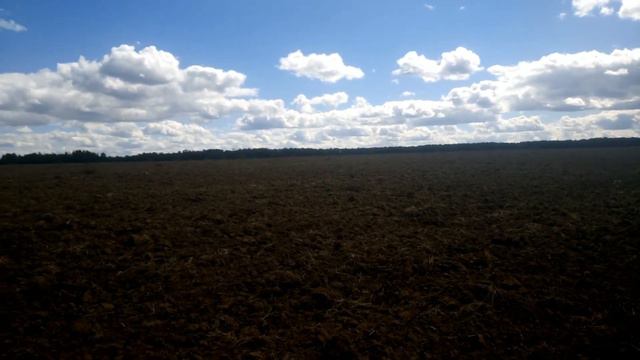 Хабарное поле. ИМПЕРСКИЙ РУБЛЬ!!! СЕРЕБРО!!! 7ч. МАХать КОПать смотреть онлайн