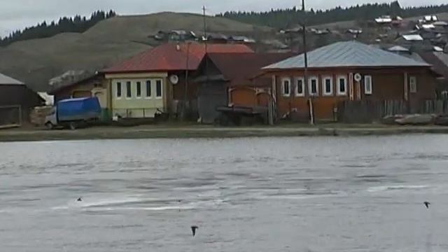 половодье в Михайловске смотреть онлайн