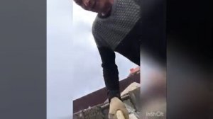 Постройка бассейна