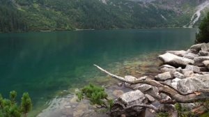 шериф мустафа- красивое чтение корана