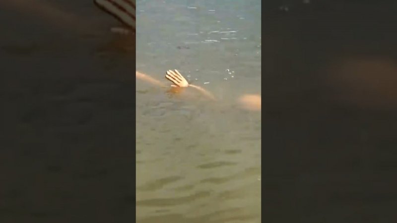 Никогда не бросайте магнит в воду! Самая жуткая находка под водой!