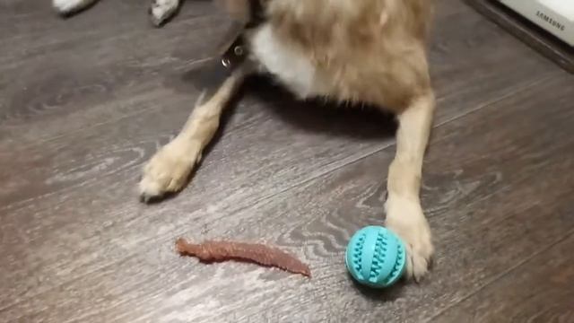 Алекс-три года с нами!Тестирует свои подарки! смотреть онлайн