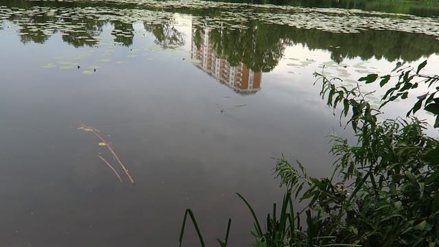 ПЕРВЫЙ РАЗ НА РЫБАЛКУ подготовка ЧТО ВЗЯТЬ? ГАЛАМАРТ смотреть онлайн