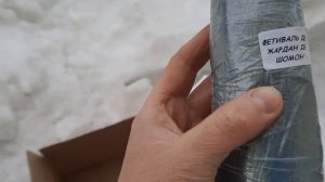 Обзор посылки с саженцами роз из интернет-магазина "СИБРОЗА" (Новосибирская область). 2 часть.