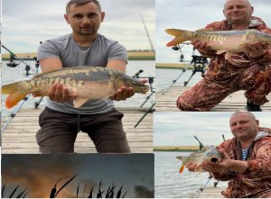 ЛОВЛЯ КАРПА НА КУЛЬТУРНОМ ВОДОЕМЕ… при помощи кораблика