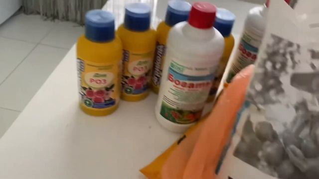 ?Фикс Прайс-небольшой обзор товаров для сада?мои запасы семян и удобрений?
