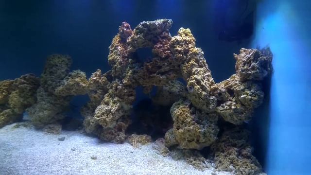 Океанариум в Самаре (ТЦ Московский), отзыв и обзор посетителя после открытия смотреть онлайн