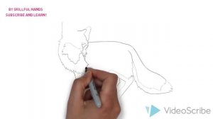 How to Draw a Fox / Как нарисовать лису