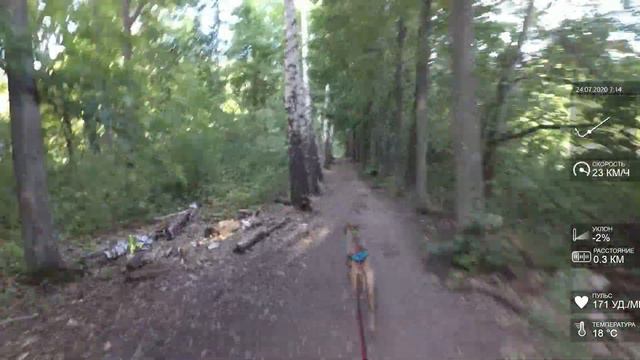 Каникросс Вуди 500м смотреть онлайн