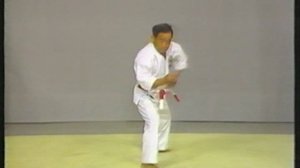 Иссин рю бо ката