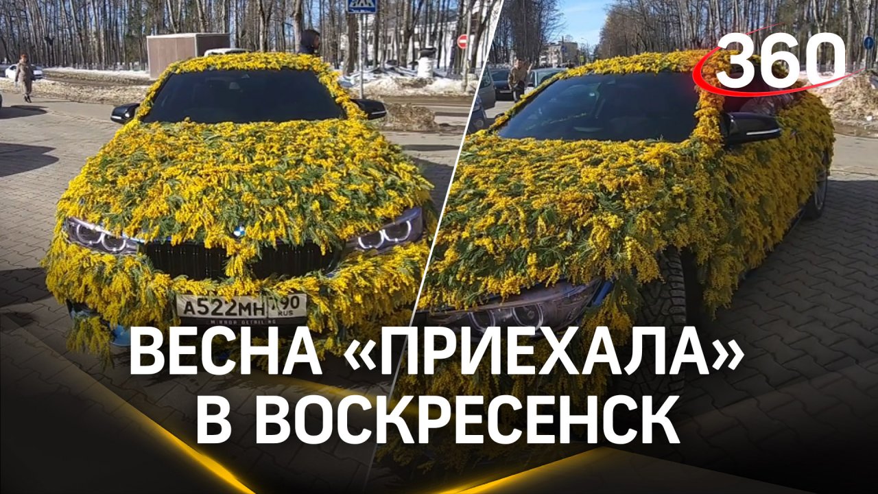 В Воскресенск буквально приехала весна: машина, украшенная сотней цветов мимозы, в центре города